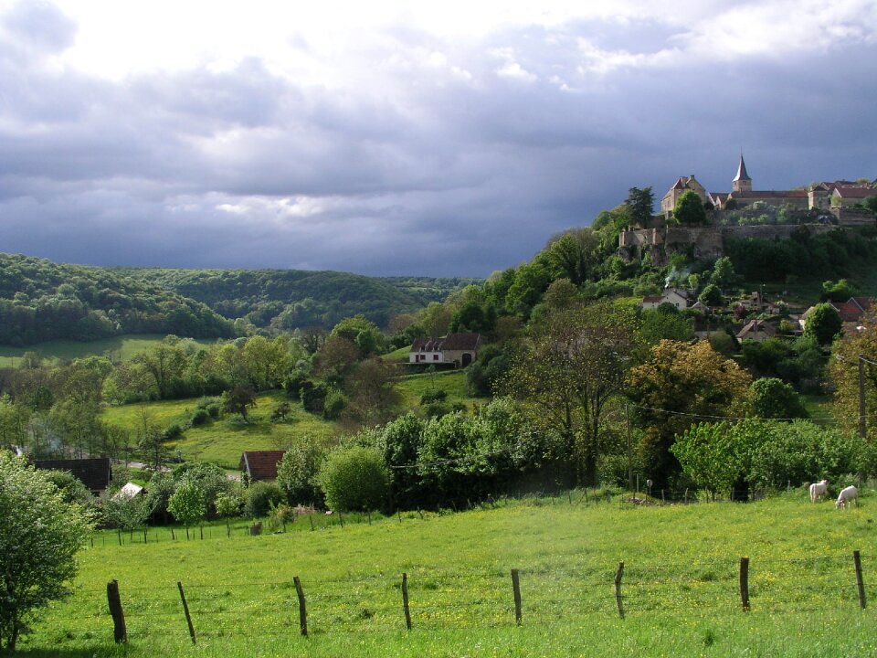 Hill france cows