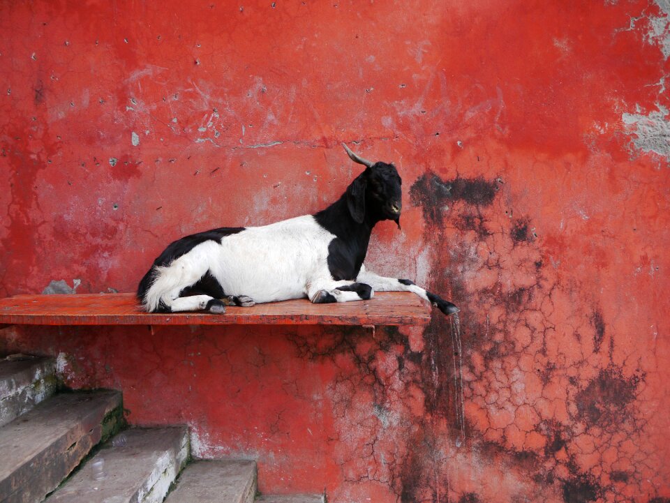 Wall red stairs photo