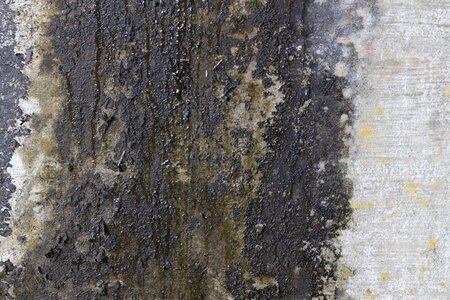 Graffiti wall cement