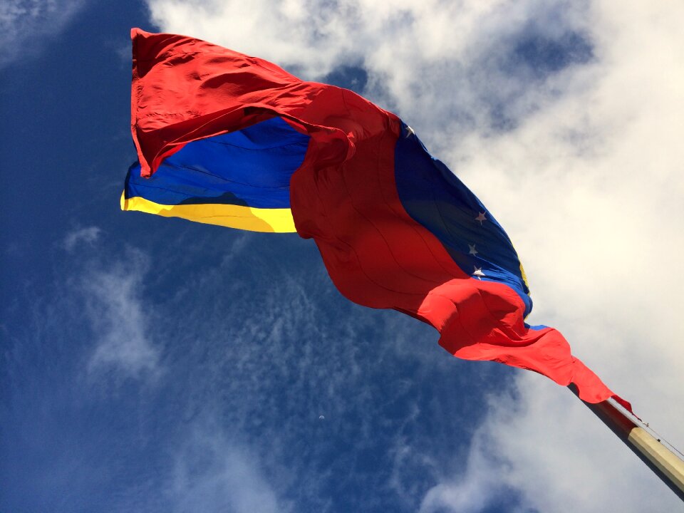 Flag venezuela pole