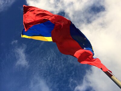 Flag venezuela pole