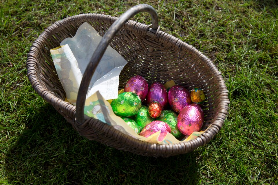 Eggs purple green