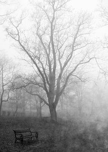 Autumn morning soon