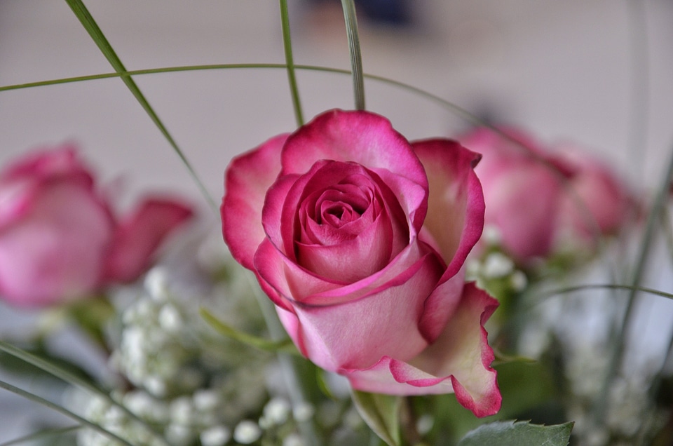 Red bouquet pink