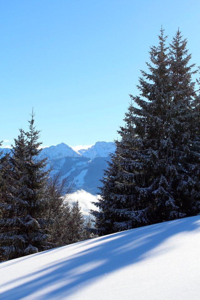 Hiking sun blue sky