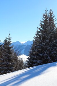 Hiking sun blue sky