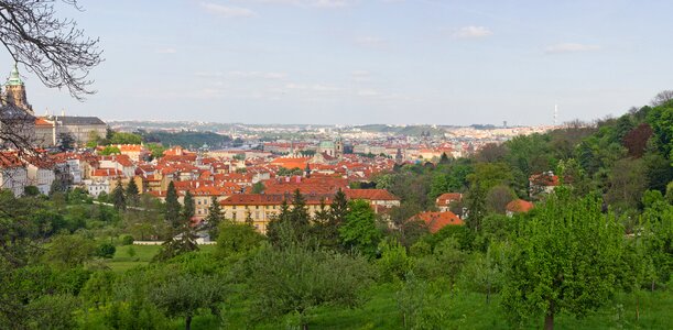 Nature europe greens
