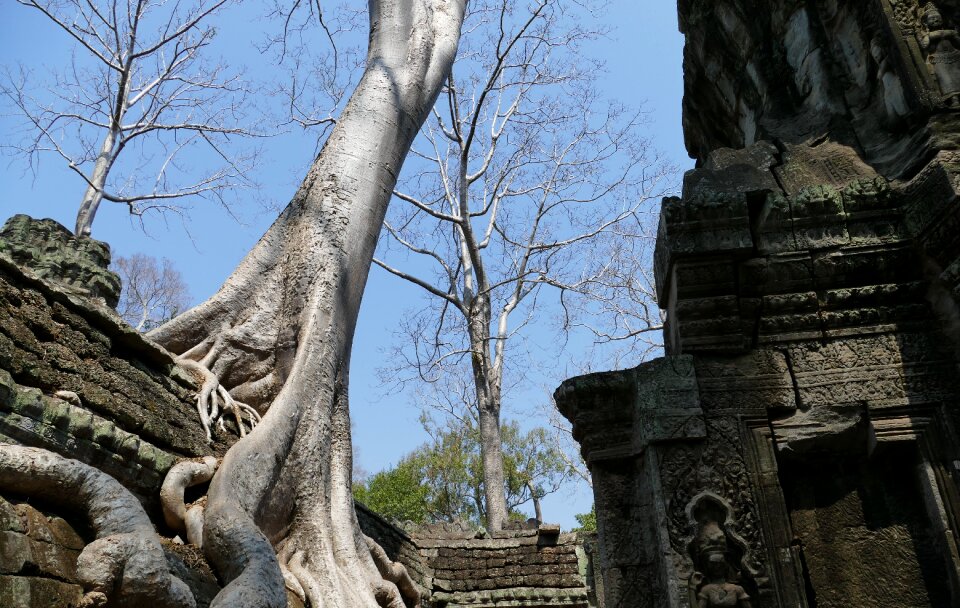 Temple asia temple complex