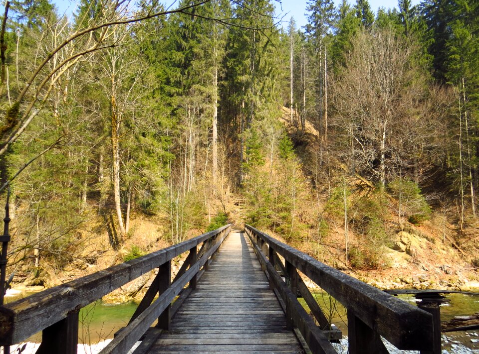 River nature boardwalk
