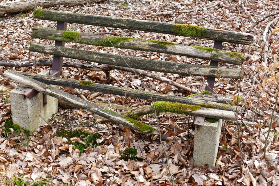 Old bench loneliness