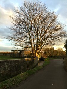 Sky rural winter