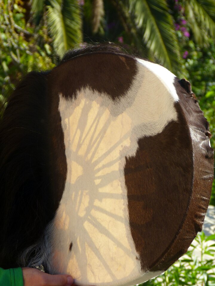 Shamanic drum magic