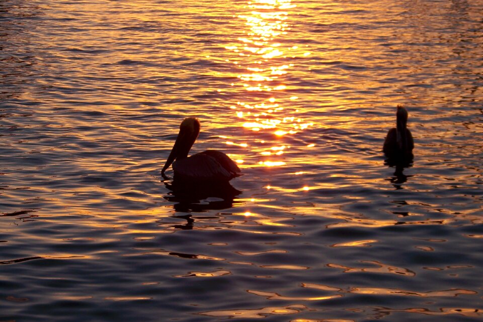 Evening water light reflection