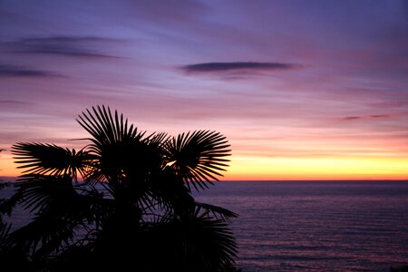 Resort sunset evening