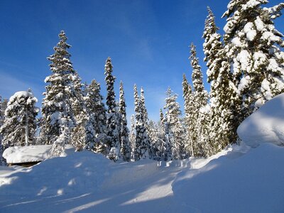 Lapland cold snow photo