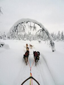Lapland cold snow photo