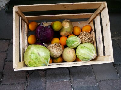 Vegetables plants wooden box photo