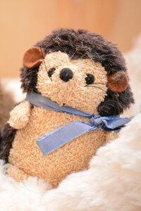 Stuffed animal teddy bear cute photo