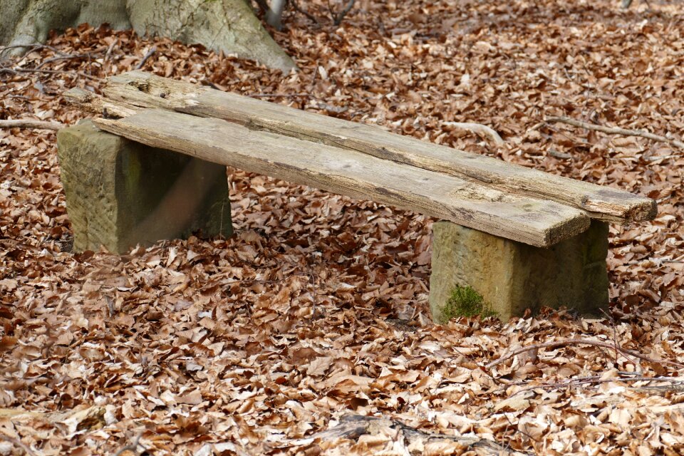 Old bench loneliness