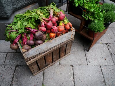 Radishes food vegetale