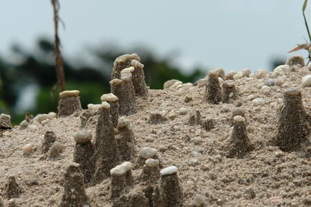 Sand quartz rain photo