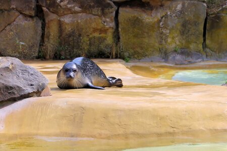 Animal world zoo berlin