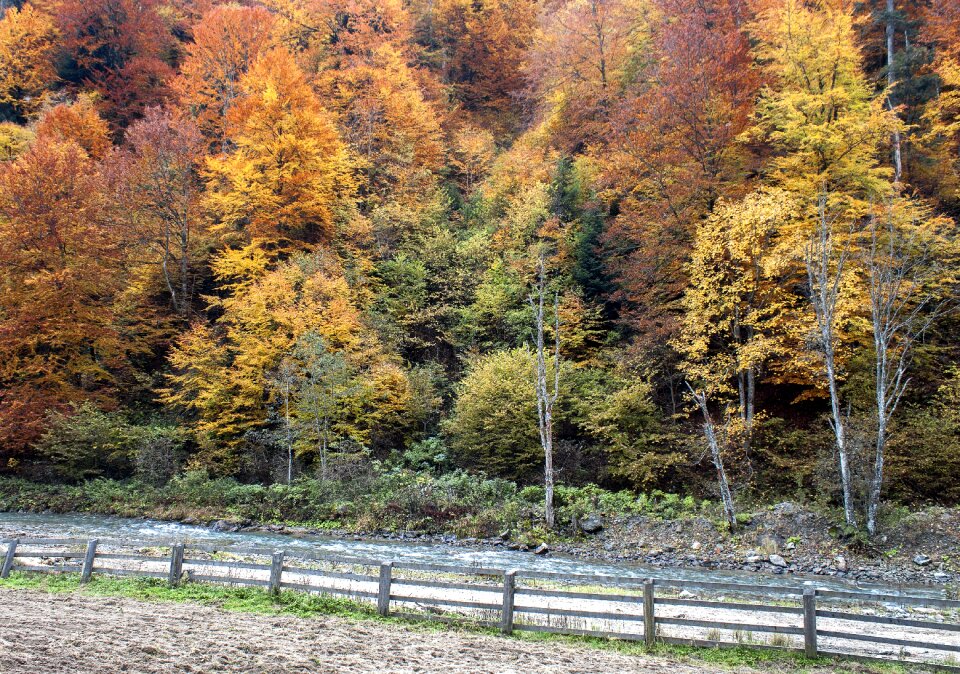 Nature travel scenic