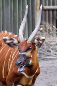 Animal world zoo berlin