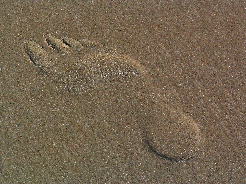 Beach imprint footprint
