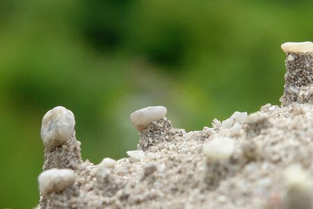 Sand quartz rain photo