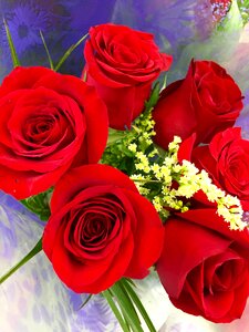 Red flowers bouquet