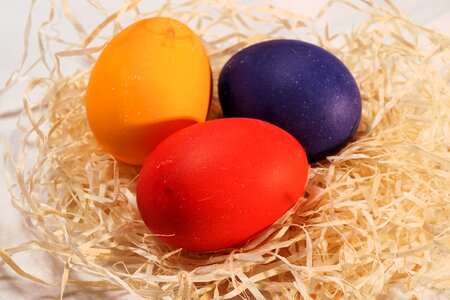 Easter eggs colorful easter egg painting photo