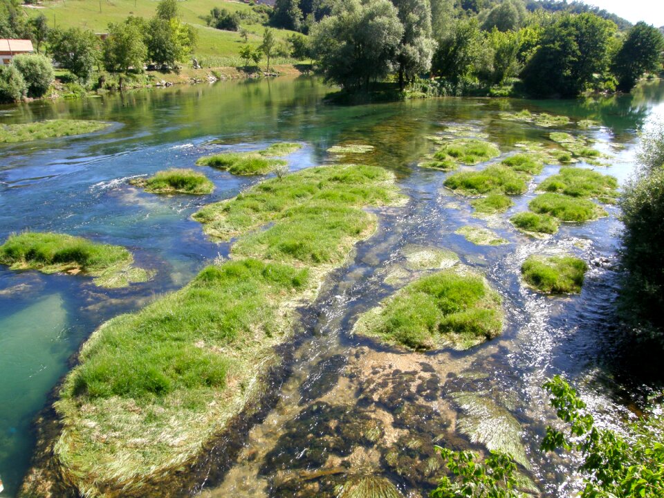 Swamp low water river