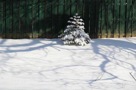 Fence winter photo