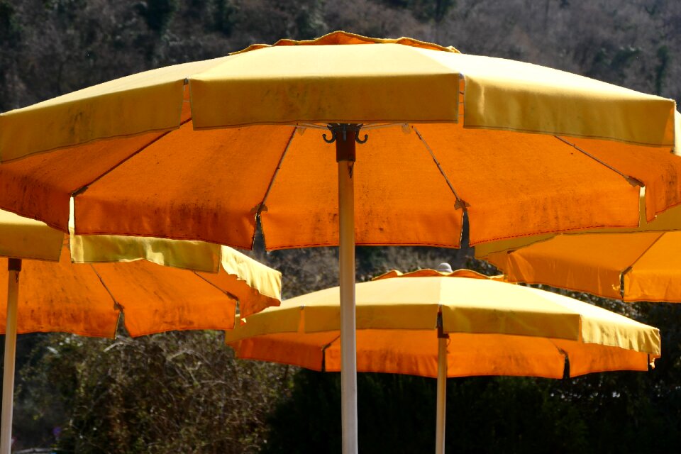 Summer in the free sunlight