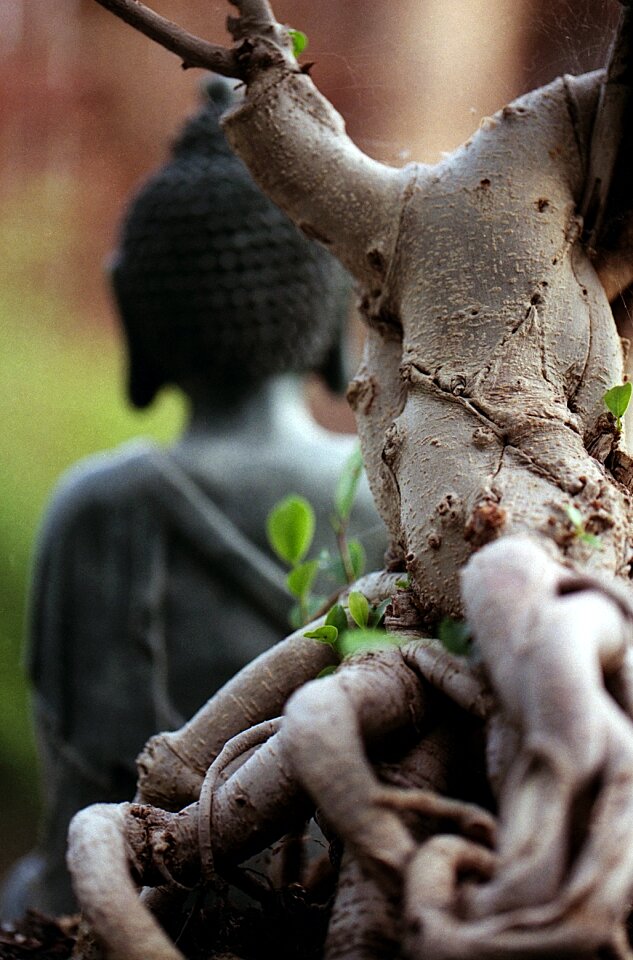 Religion spiritual buddhism