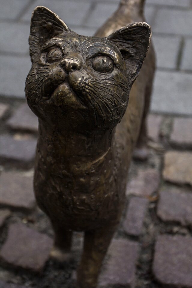 Sculpture animal metal