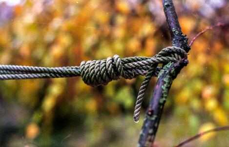 String symbol brown