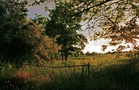 Landscape nobody summer