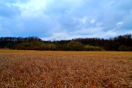 Nature landscape green photo