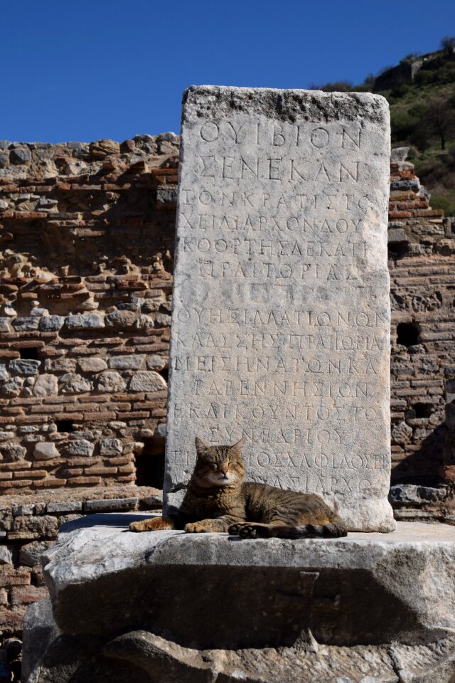 Secret archaeology pillar