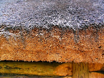 The roof of the cottage open air museum