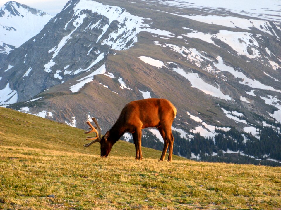 Mountain snow