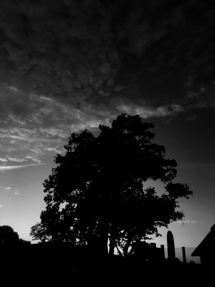 Mystical threatening black white
