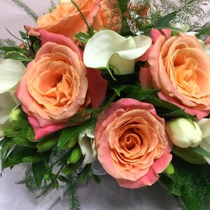 Bridal roses photo