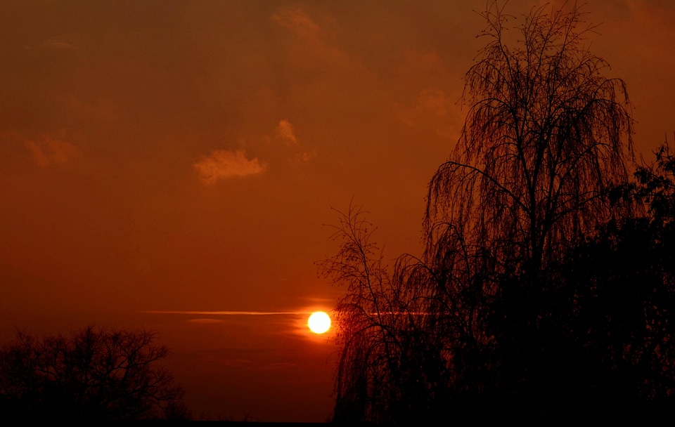 Evening sky trees silhouette