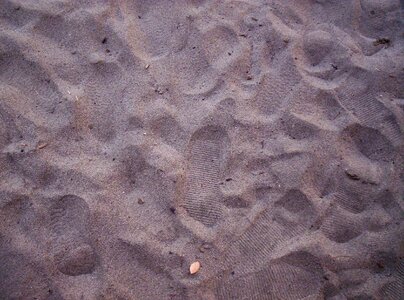Holidays sand gray