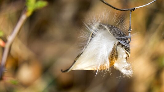Spread flew sense electric wave