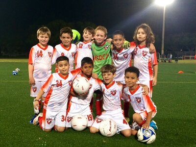 Hollywood wildcats soccer team
