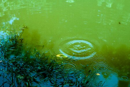 Poetry inspiration sustainability